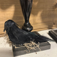 Load image into Gallery viewer, Skull heads on spindles (flannel bow)
