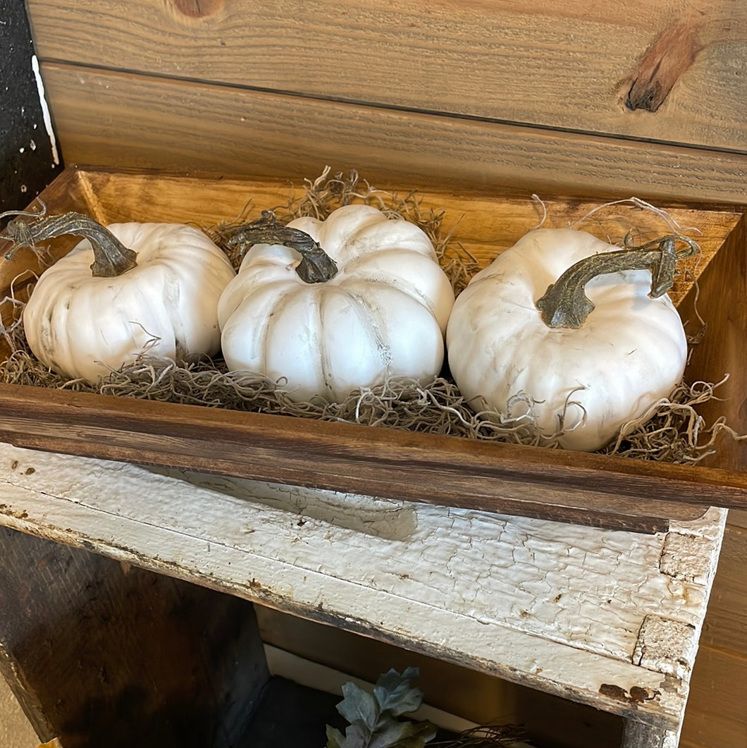 Trim bowls with pumpkins