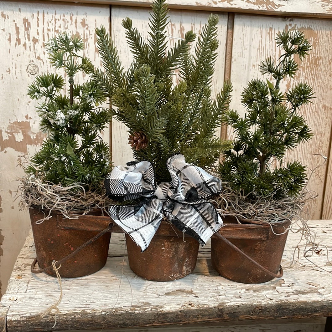 Trees in rusty bucket