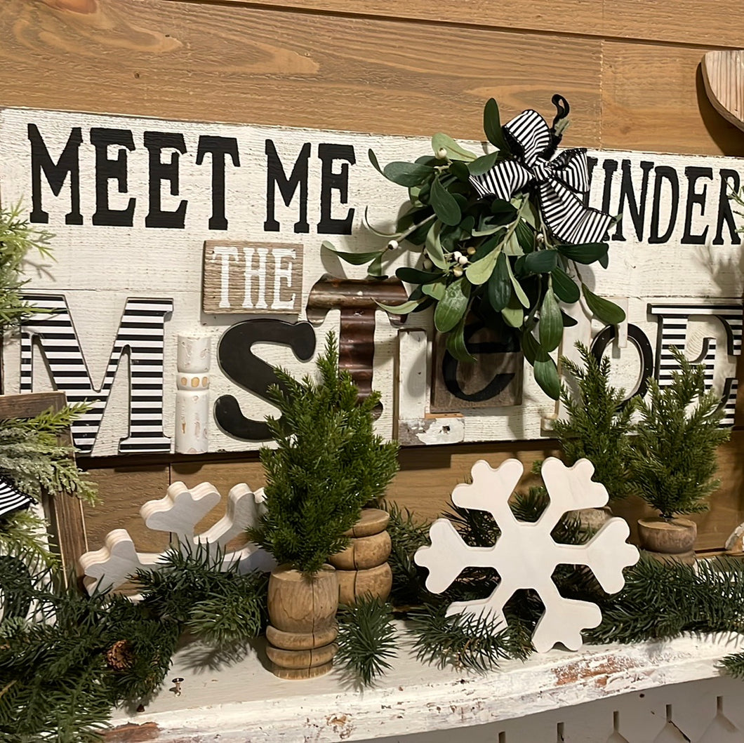 Meet me under the mistletoe sign