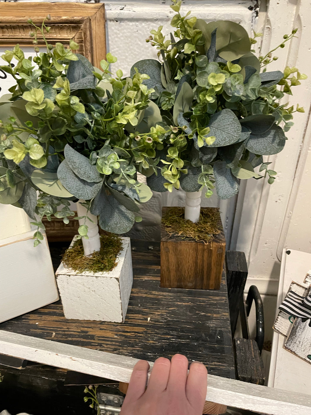 Set of 2 topiaries