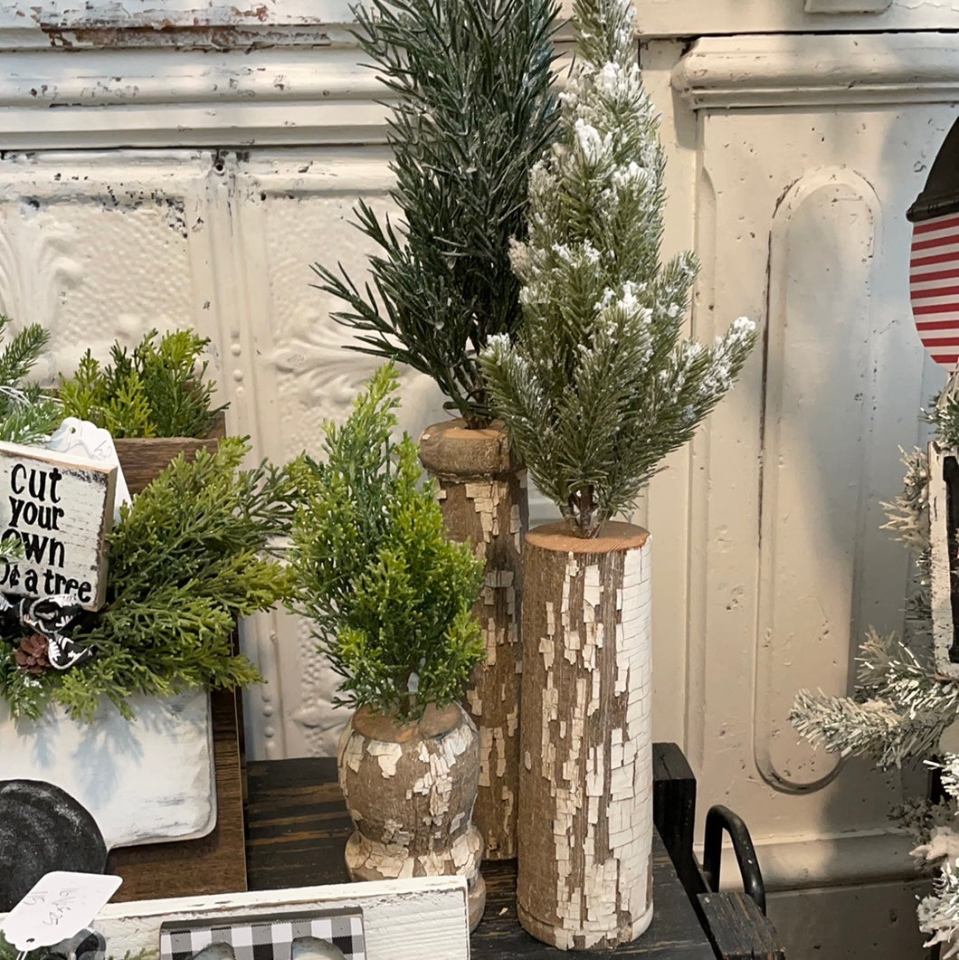 Set of 3 chippy white trees