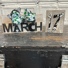 Load image into Gallery viewer, March 17 set

