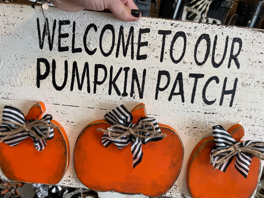Welcome to our pumpkin patch